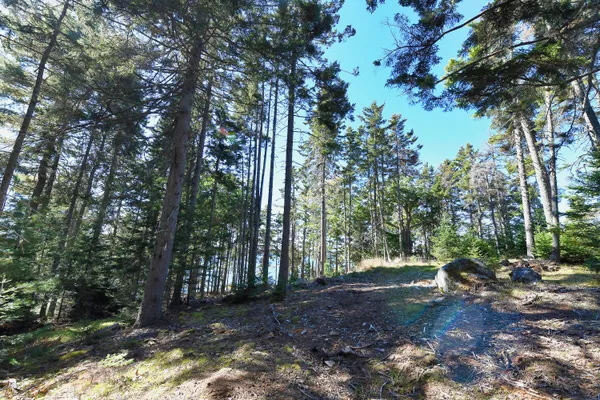 $599,000 | Lot 6 Sunset Road, Brooksville, ME 04617