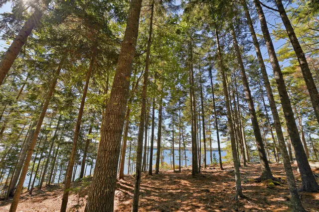 $599,000 | Lot 6 Sunset Road, Brooksville, ME 04617