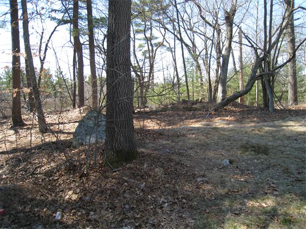 1 Powderly Road Medford, MA 02155 - Photo 1 of 2 Gallery Image 1
