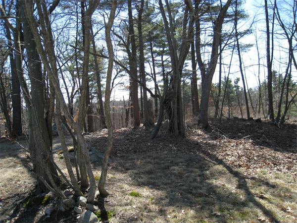 1 Powderly Road Medford, MA 02155 - Photo 2 of 2 Gallery Image 2