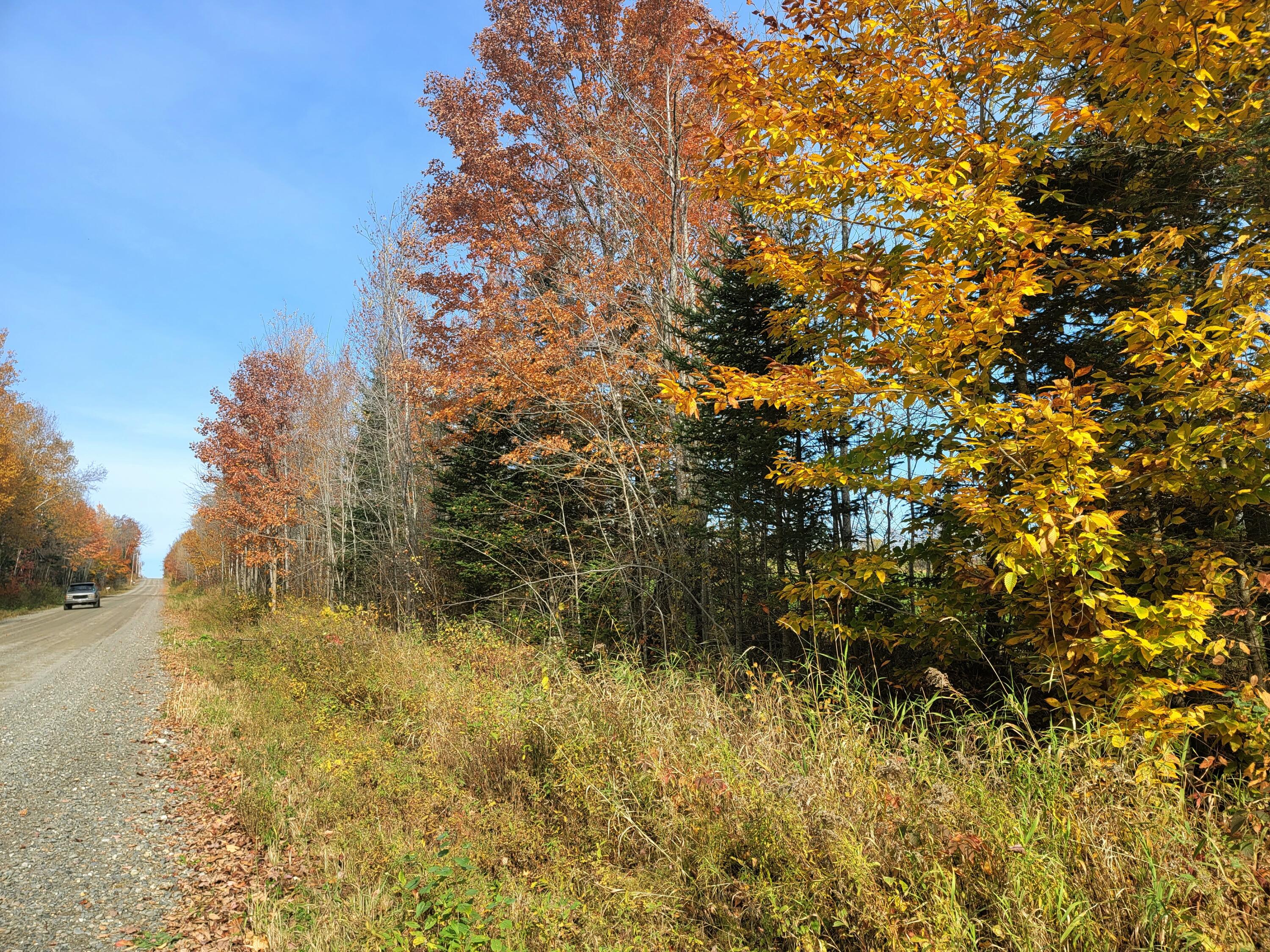 Lot 7 Harris Road Charleston, ME 04422 - Photo 1 of 7 20221017_121448