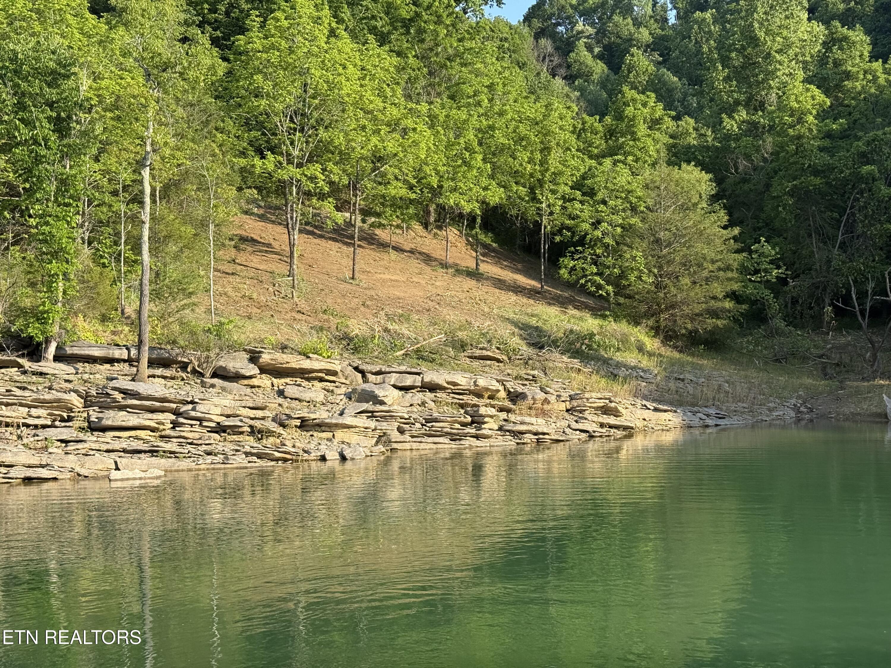 3385 Russell Brothers Road Sharps Chapel, TN 37866 - Photo 4 of 60 Property Shoreline