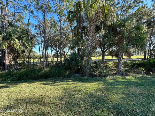 a view of backyard with green space