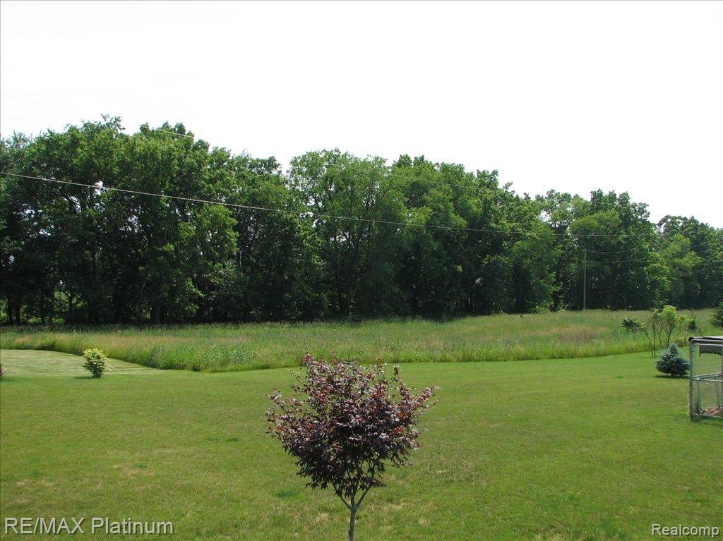 5678 Weller Road Gregory, MI 48137 - Photo 4 of 5 IMG_5992