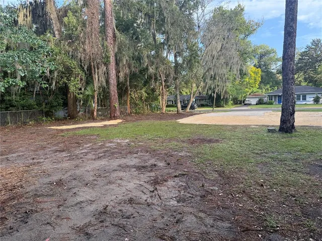a view of a tree in the middle of a yard