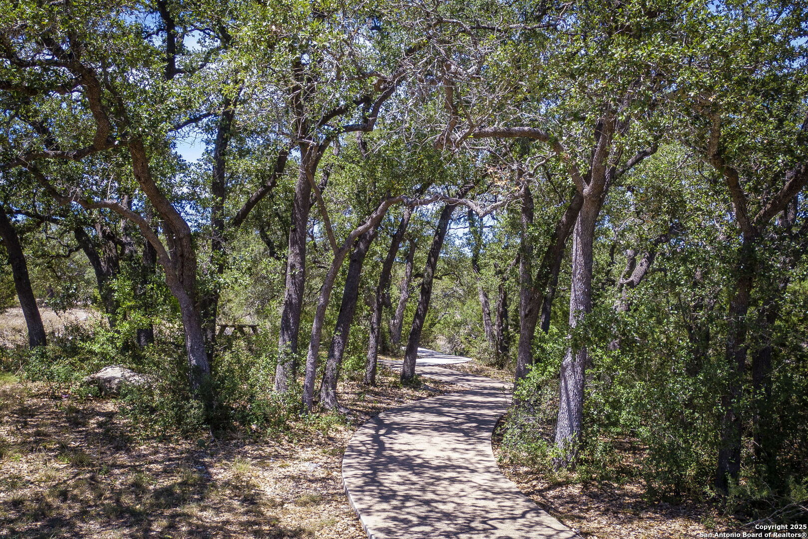 5860 Verden Ridge New Braunfels, TX 78132 - Photo 14 of 18 a view of a forest with trees