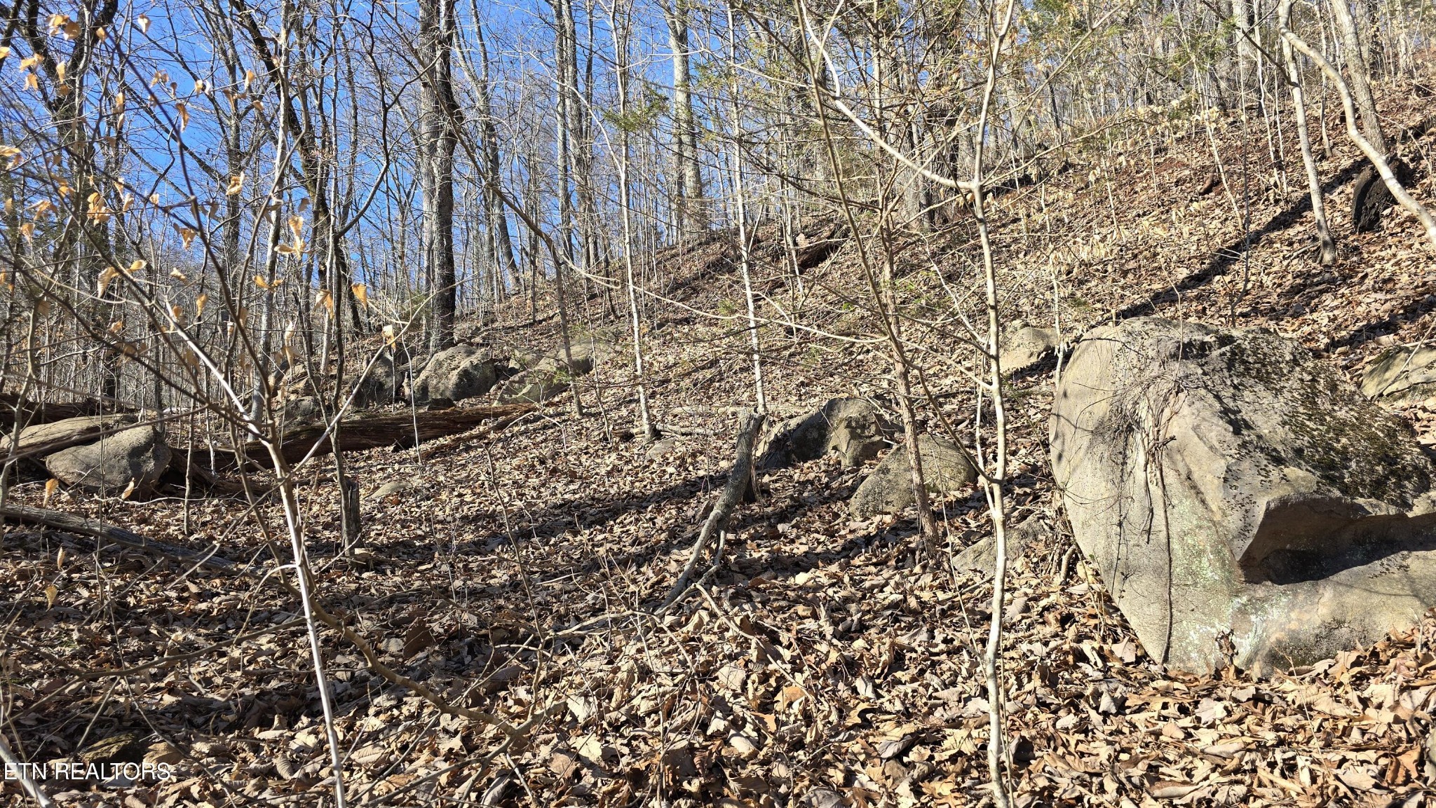 0 Red Ankle Road Sweetwater, TN 37874 - Photo 27 of 32 Gallery Image 27
