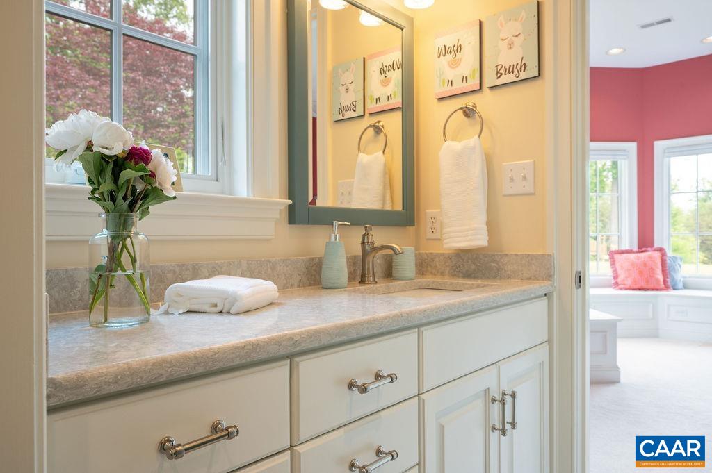 513 Half Mile Branch Road Crozet, VA 22932 - Photo 35 of 57 a bathroom with a granite countertop sink a potted plant and a large mirror