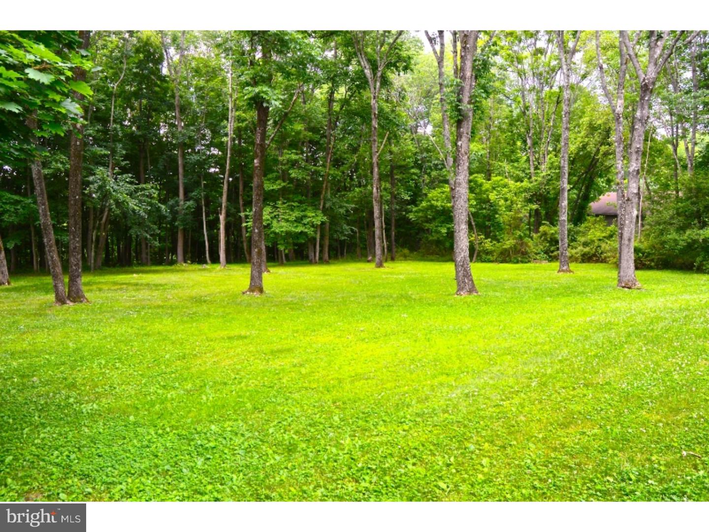 1886 Sugar Bottom Road Furlong, PA 18925 - Photo 4 of 23 Back Yard