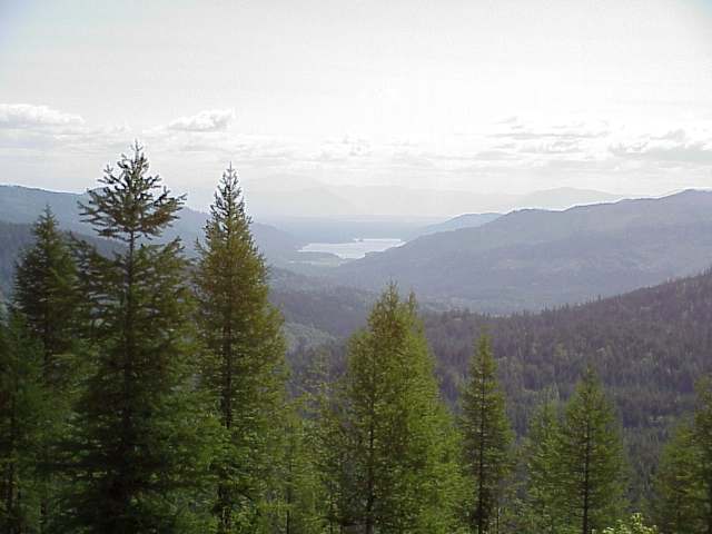 643 Cedarhearth Mead, WA 99021 - Photo 2 of 3 Gallery Image 2