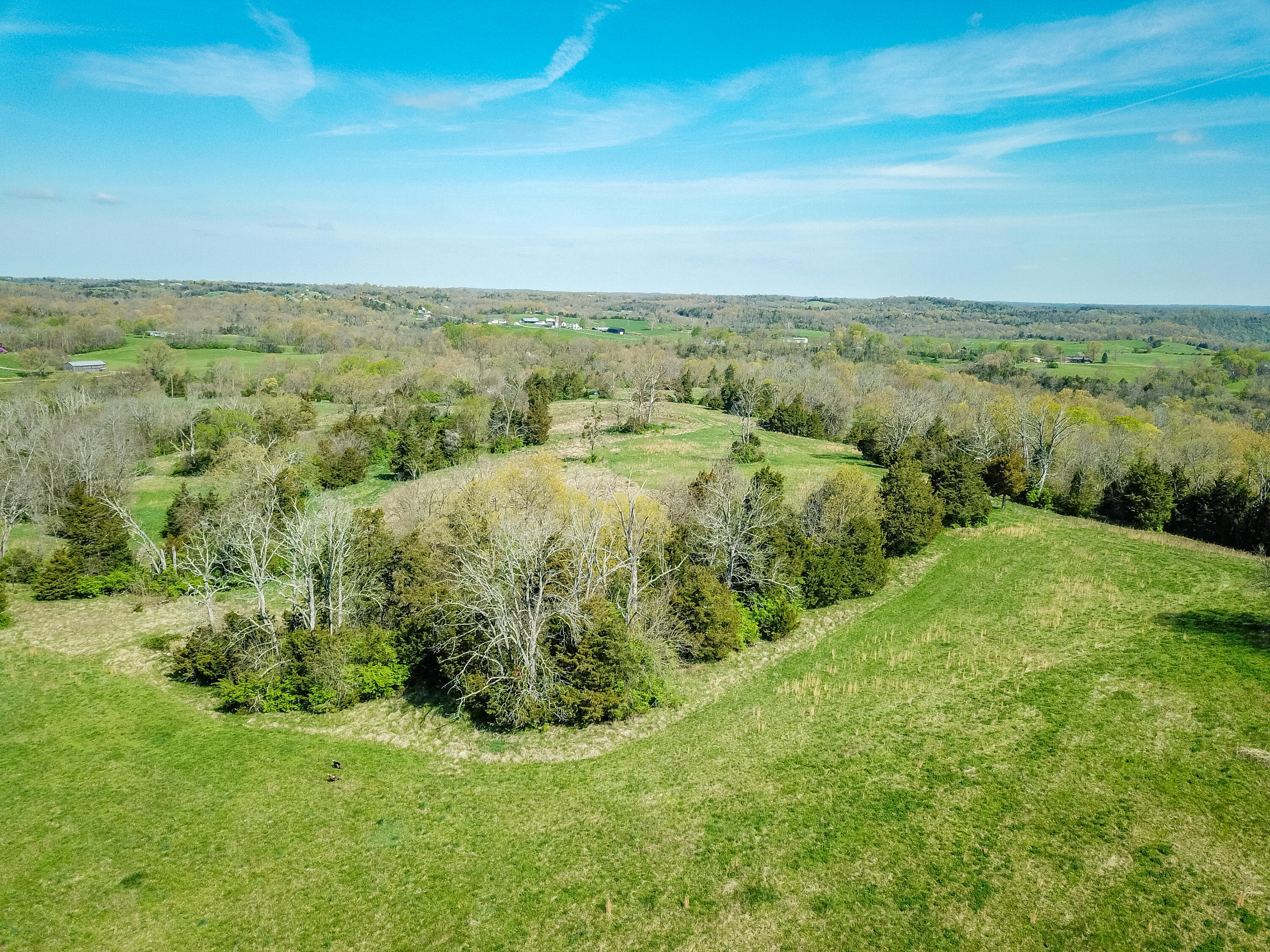 486 Ben Currens Road Salvisa, KY 40372 - Photo 24 of 38 1-24