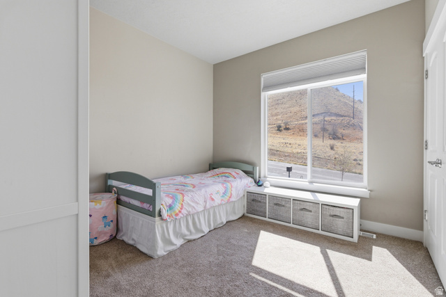 865 Settlement Canyon Road Tooele, UT 84074 - Photo 21 of 48
