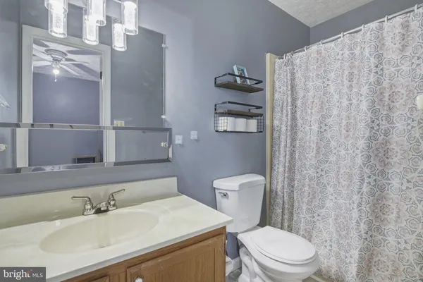 a bathroom with a sink a toilet and shower curtain