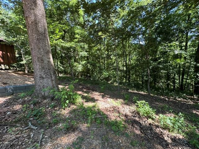 684 Eva Flatwoods Road Eva, TN 38333 - Photo 38 of 43