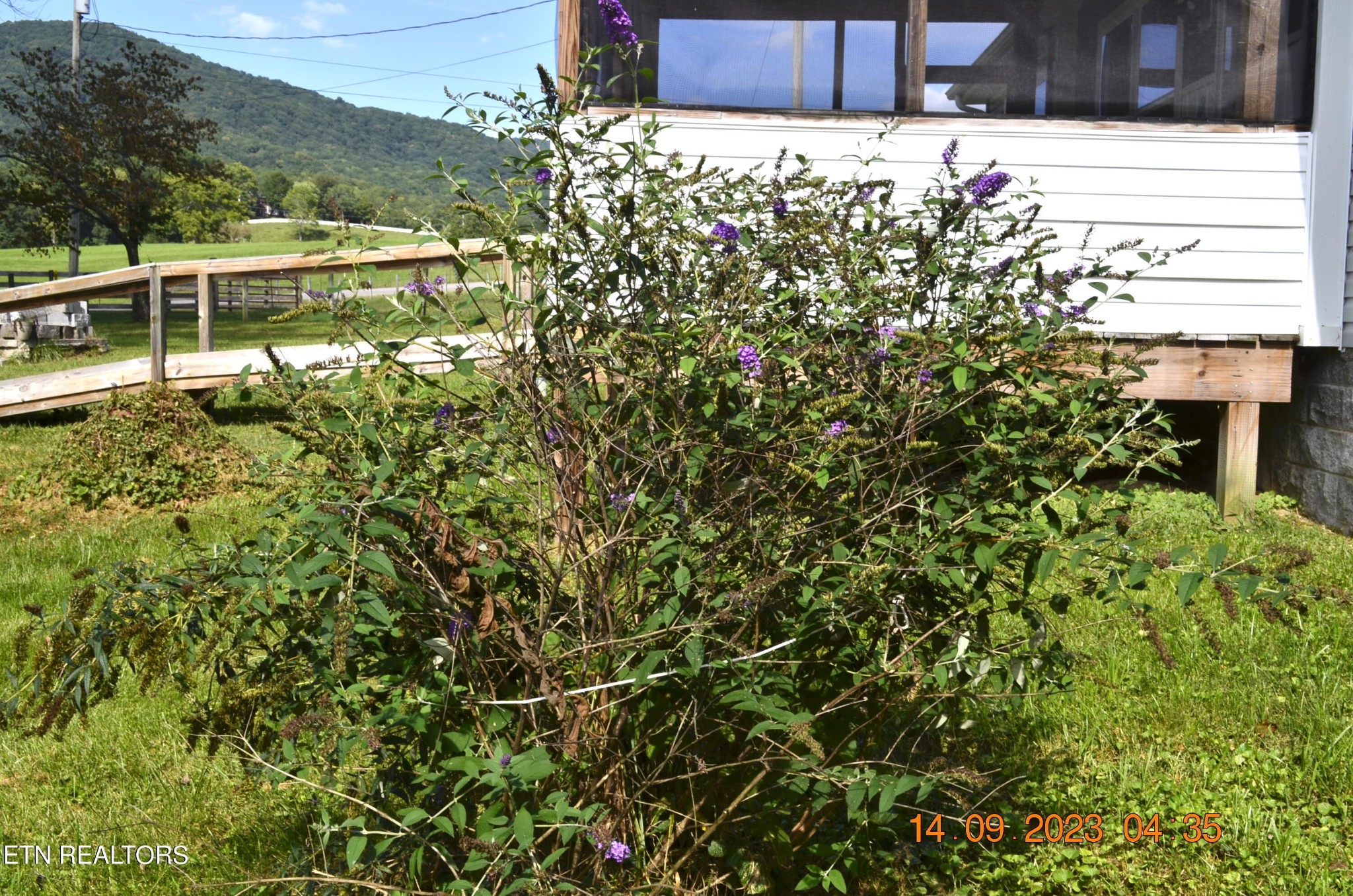 296 Letory Road Wartburg, TN 37887 - Photo 11 of 39 Gallery Image 11