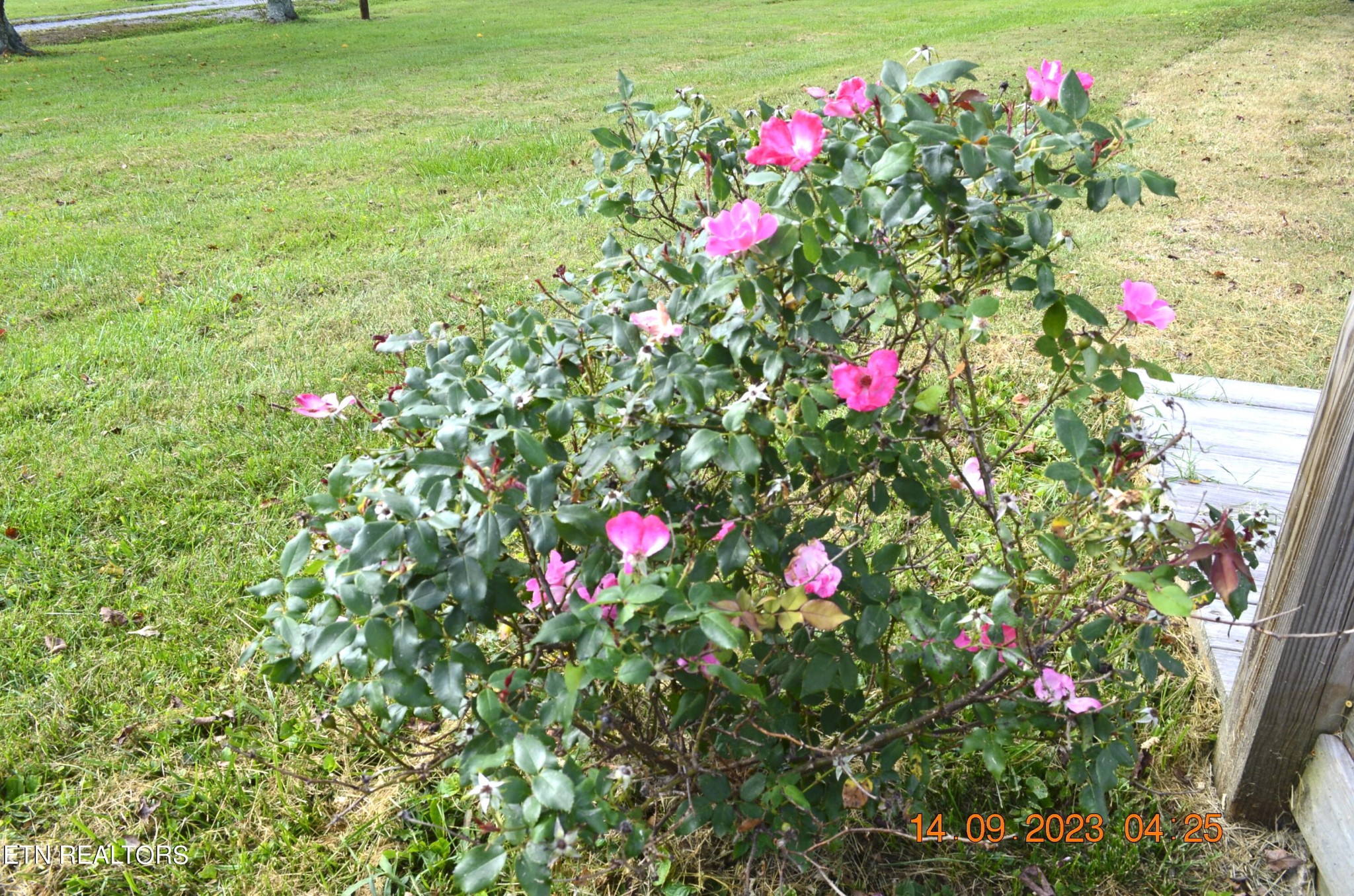 296 Letory Road Wartburg, TN 37887 - Photo 12 of 39 Gallery Image 12