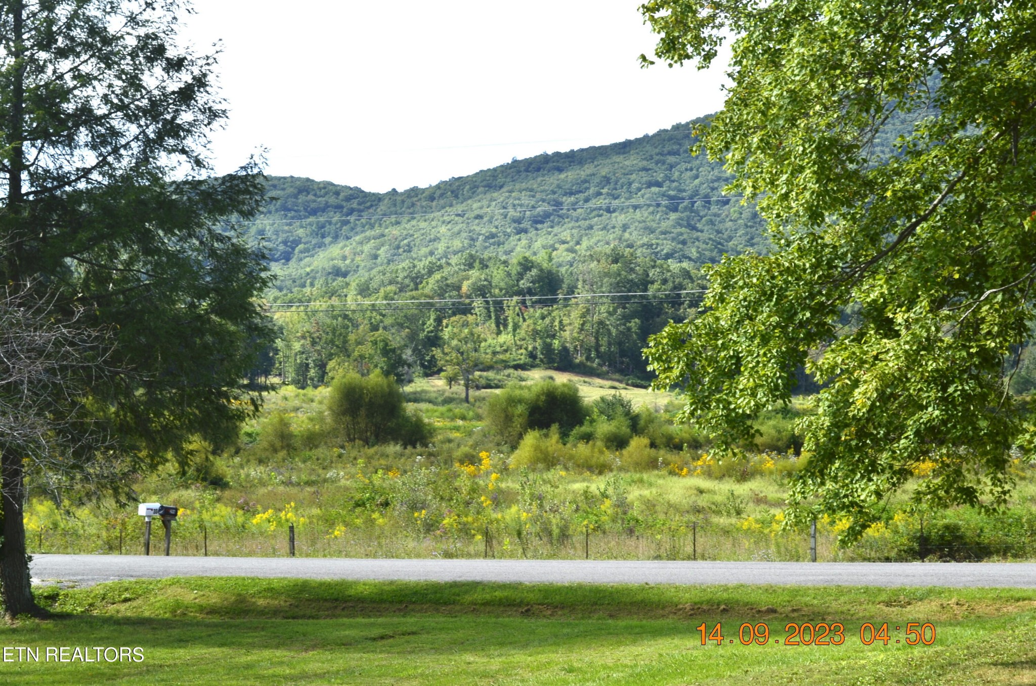 296 Letory Road Wartburg, TN 37887 - Photo 4 of 39 Gallery Image 4