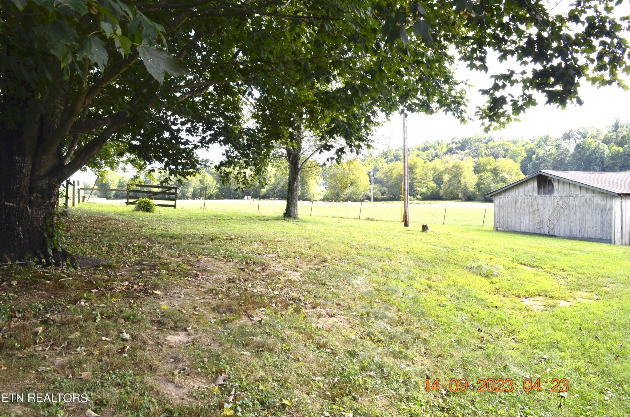 296 Letory Road Wartburg, TN 37887 - Photo 8 of 39 Gallery Image 8