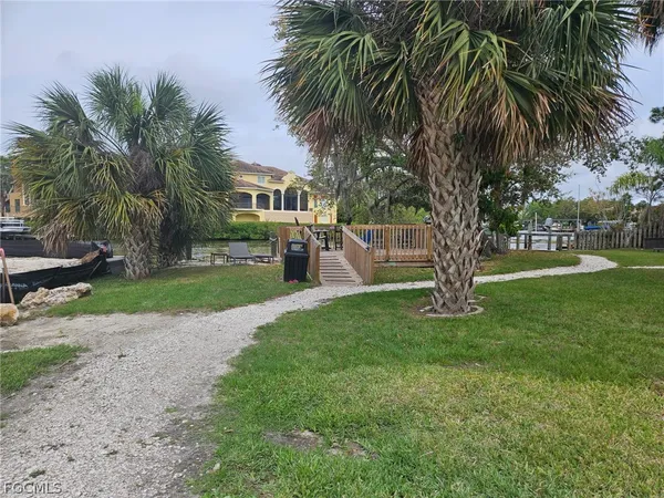 a view of a yard with a palm trees