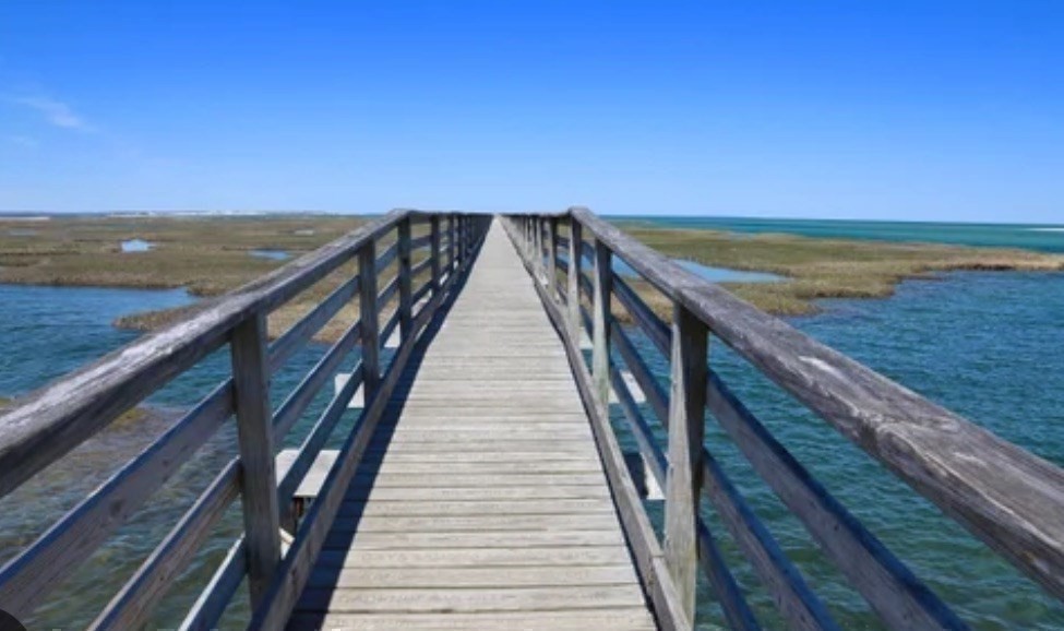 43 Canterbury Road Yarmouth, MA 02675 - Photo 25 of 25 a view of outdoor space and ocean