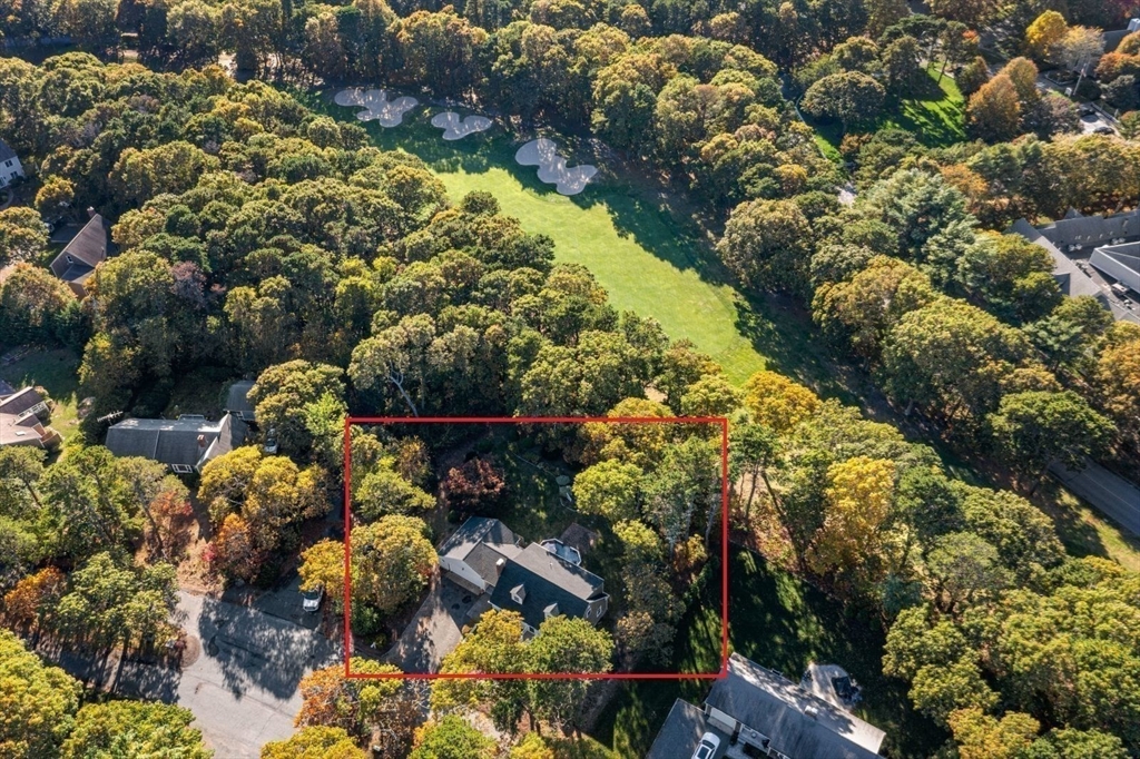 43 Canterbury Road Yarmouth, MA 02675 - Photo 6 of 25 a picture of flowers