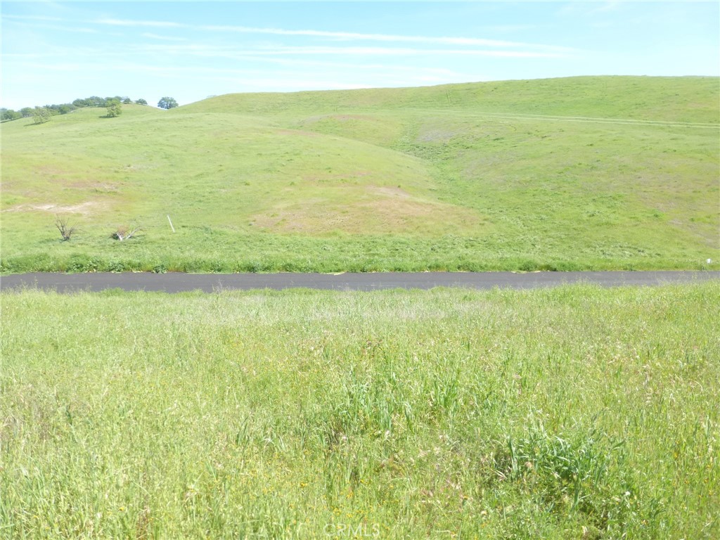 0 Douglas Road San Miguel, CA 93451 - Photo 2 of 44