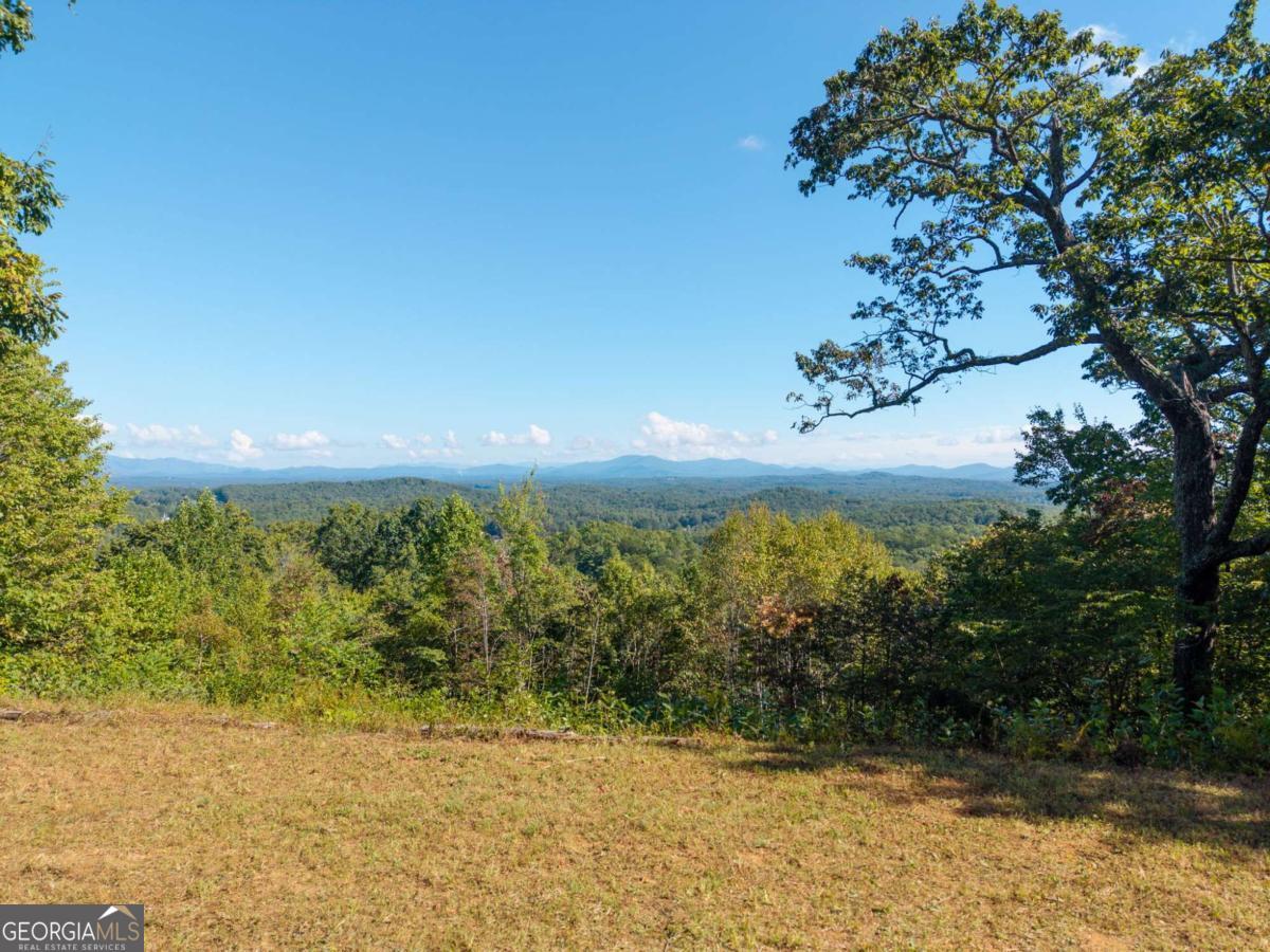 Lot 6-7 Raintree Bend, Unit LOT 6/7 Epworth, GA 30541 - Photo 11 of 14 a view of lake with a yard