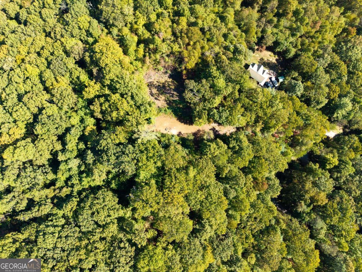 Lot 6-7 Raintree Bend, Unit LOT 6/7 Epworth, GA 30541 - Photo 12 of 14 a view of a tree