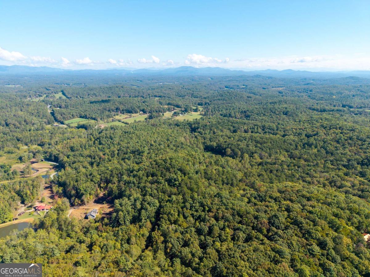 Lot 6-7 Raintree Bend, Unit LOT 6/7 Epworth, GA 30541 - Photo 13 of 14 an aerial view of houses covered in trees