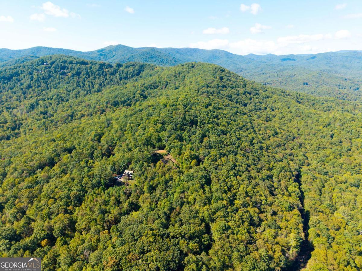 Lot 6-7 Raintree Bend, Unit LOT 6/7 Epworth, GA 30541 - Photo 14 of 14 a view of a lush green hillside and a mountain