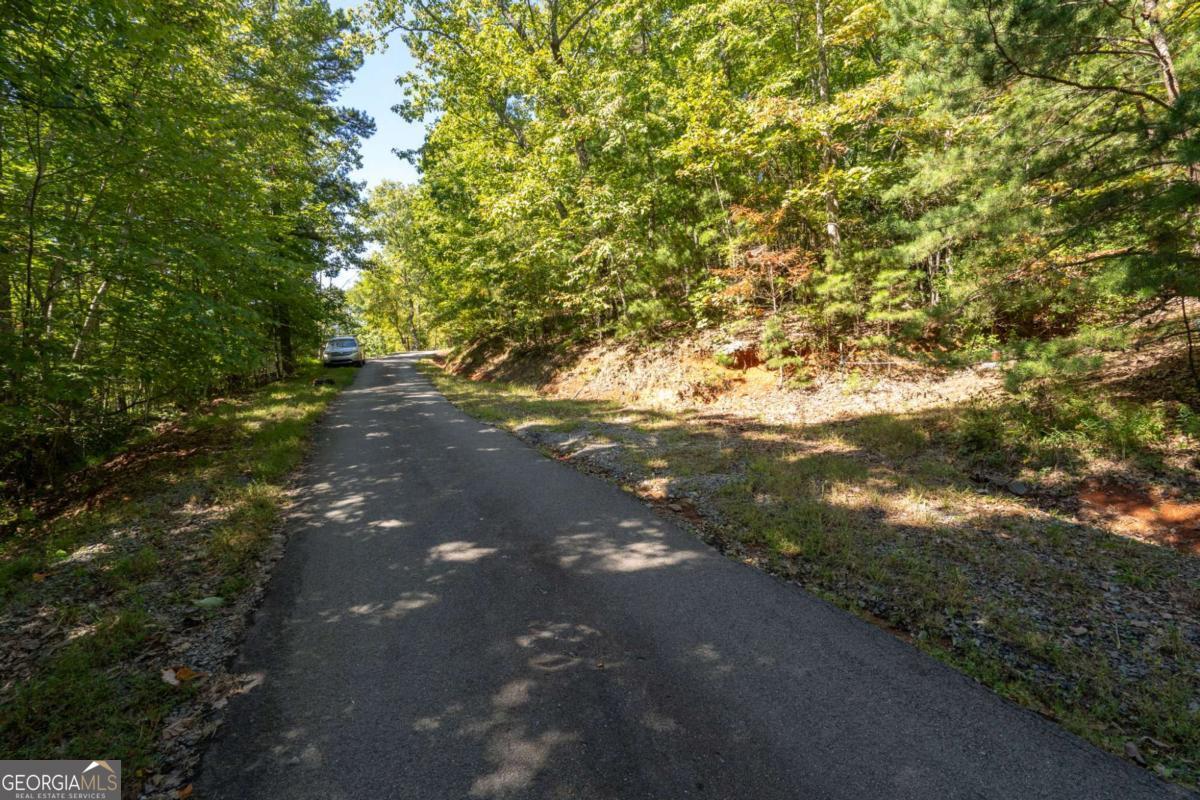 Lot 6-7 Raintree Bend, Unit LOT 6/7 Epworth, GA 30541 - Photo 2 of 14 a view of street