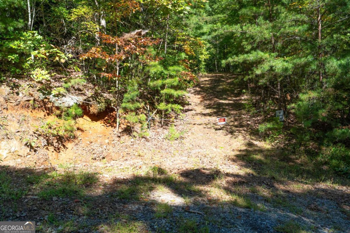 Lot 6-7 Raintree Bend, Unit LOT 6/7 Epworth, GA 30541 - Photo 3 of 14 a view of a yard