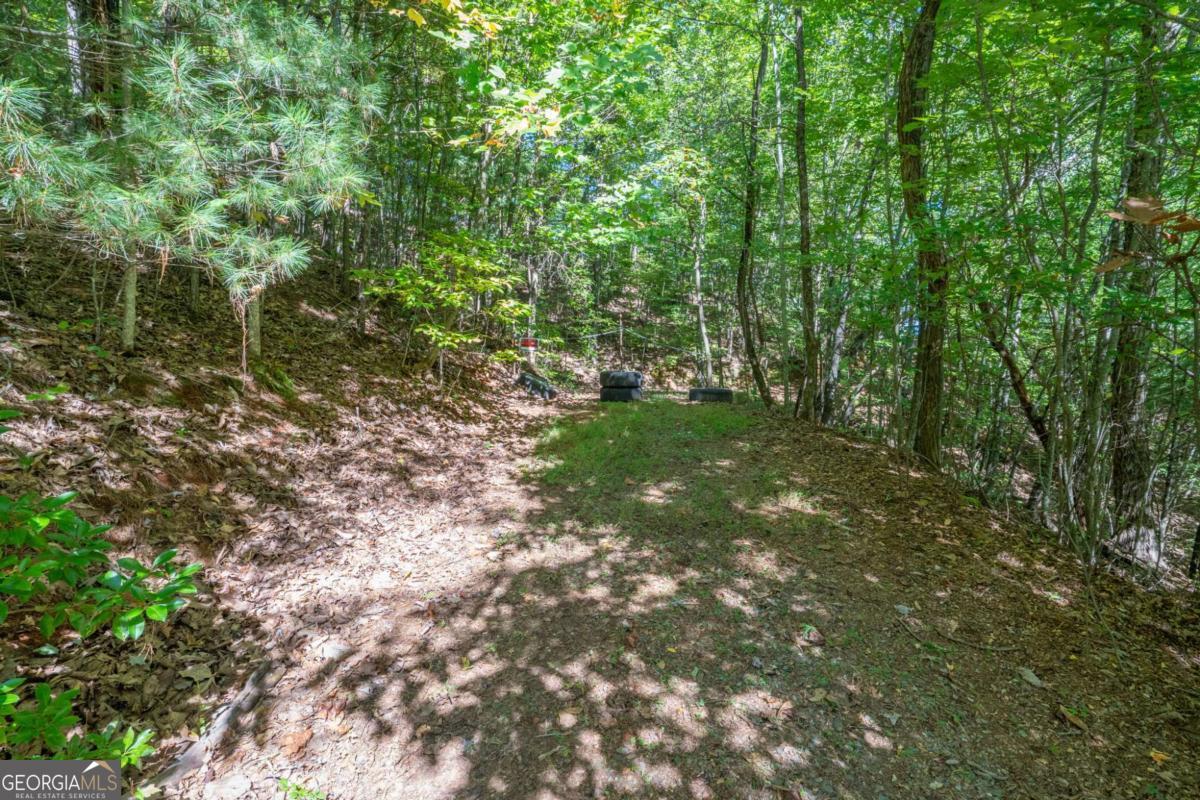 Lot 6-7 Raintree Bend, Unit LOT 6/7 Epworth, GA 30541 - Photo 5 of 14 a view of yard with green space