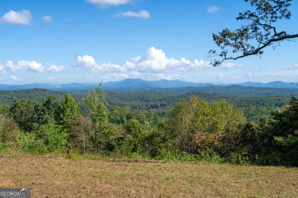 Lot 6-7 Raintree Bend, Unit LOT 6/7 Epworth, GA 30541 - Photo 8 of 14 a view of a city with lush green forest