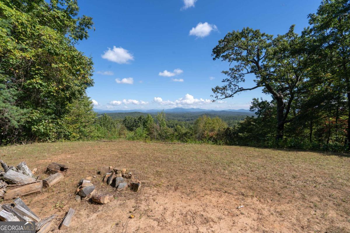 Lot 6-7 Raintree Bend, Unit LOT 6/7 Epworth, GA 30541 - Photo 10 of 14 a view of a backyard of the house