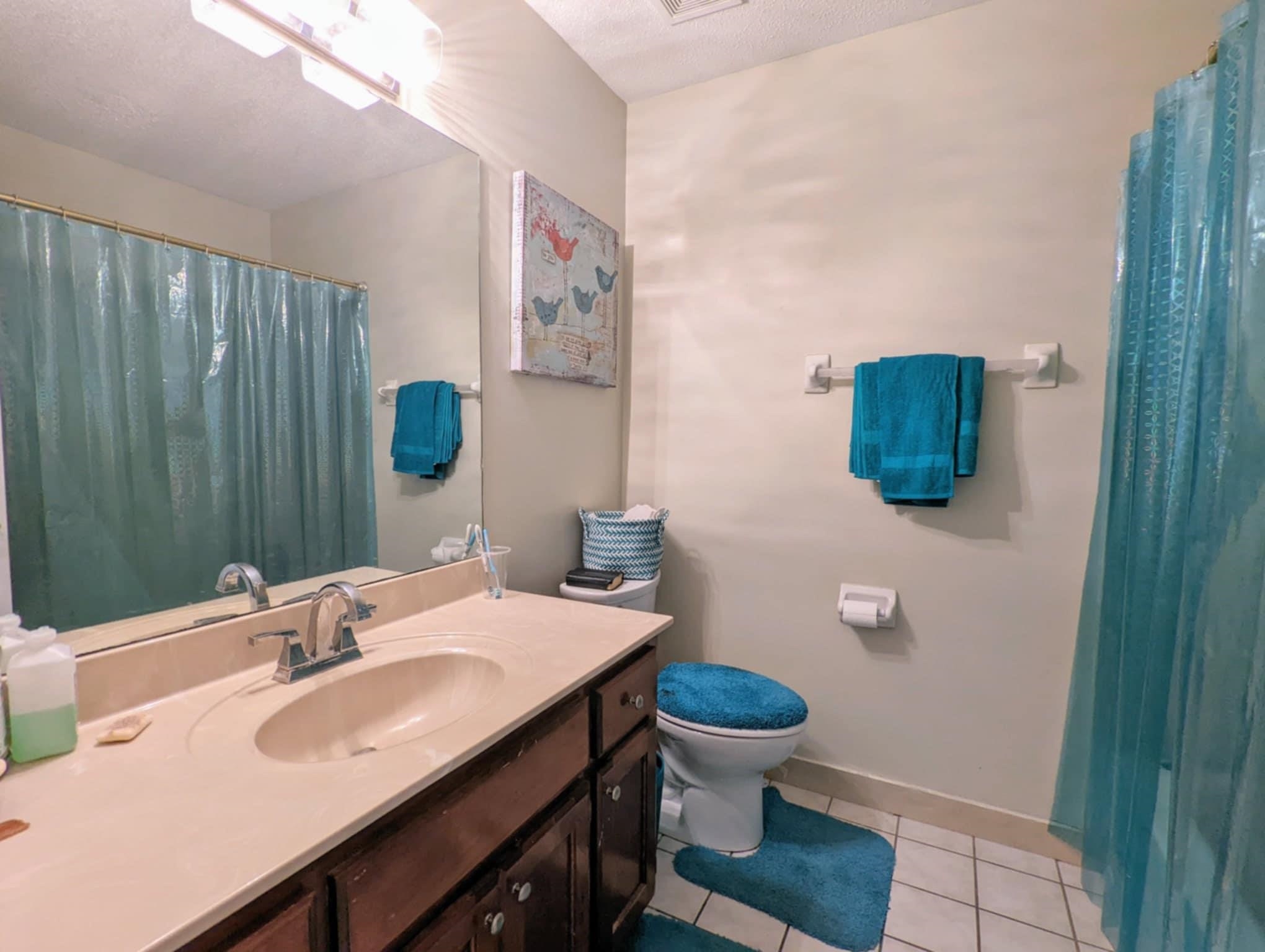 6894 Finch Road Memphis, TN 38141 - Photo 9 of 11 a bathroom with a sink and a mirror