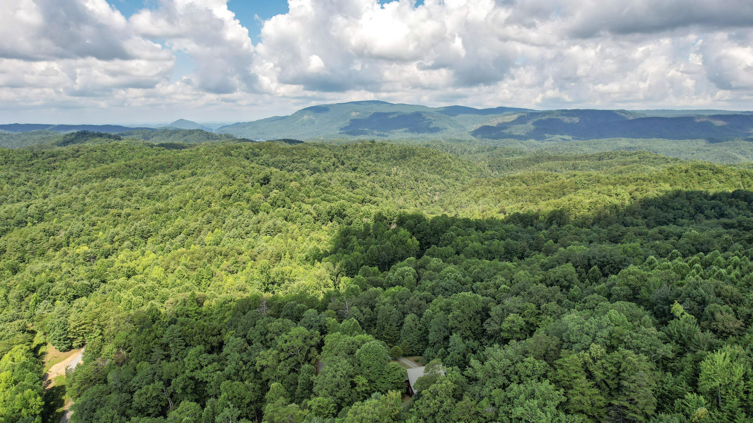 186 Caney Creek Road Reliance, TN 37369 - Photo 84 of 89 85-DJI_0018