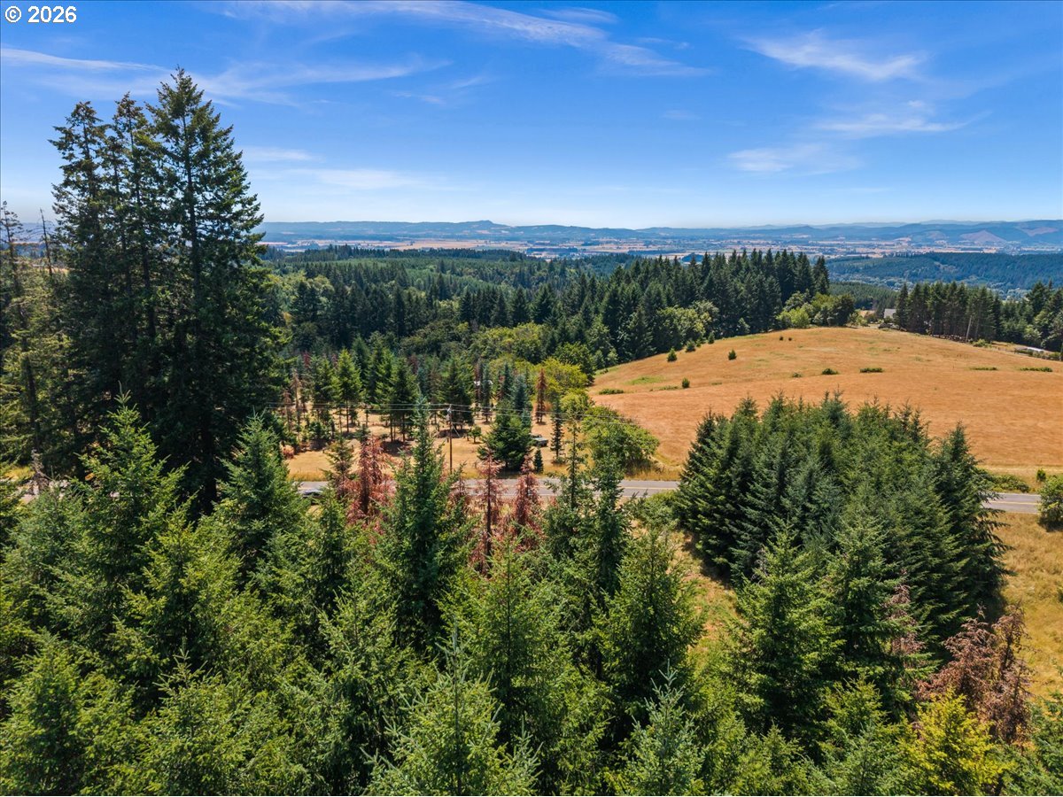 20802 Northwest Pumpkin Ridge Road North Plains, OR 97133 - Photo 16 of 18