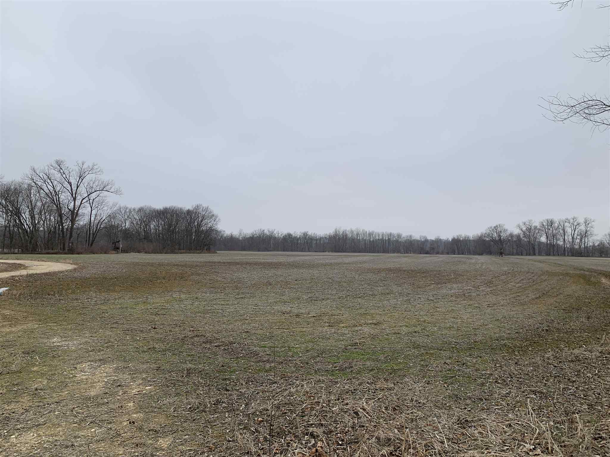 Off East Giro Road Hazleton, IN 47640 - Photo 2 of 16 Gallery Image 2