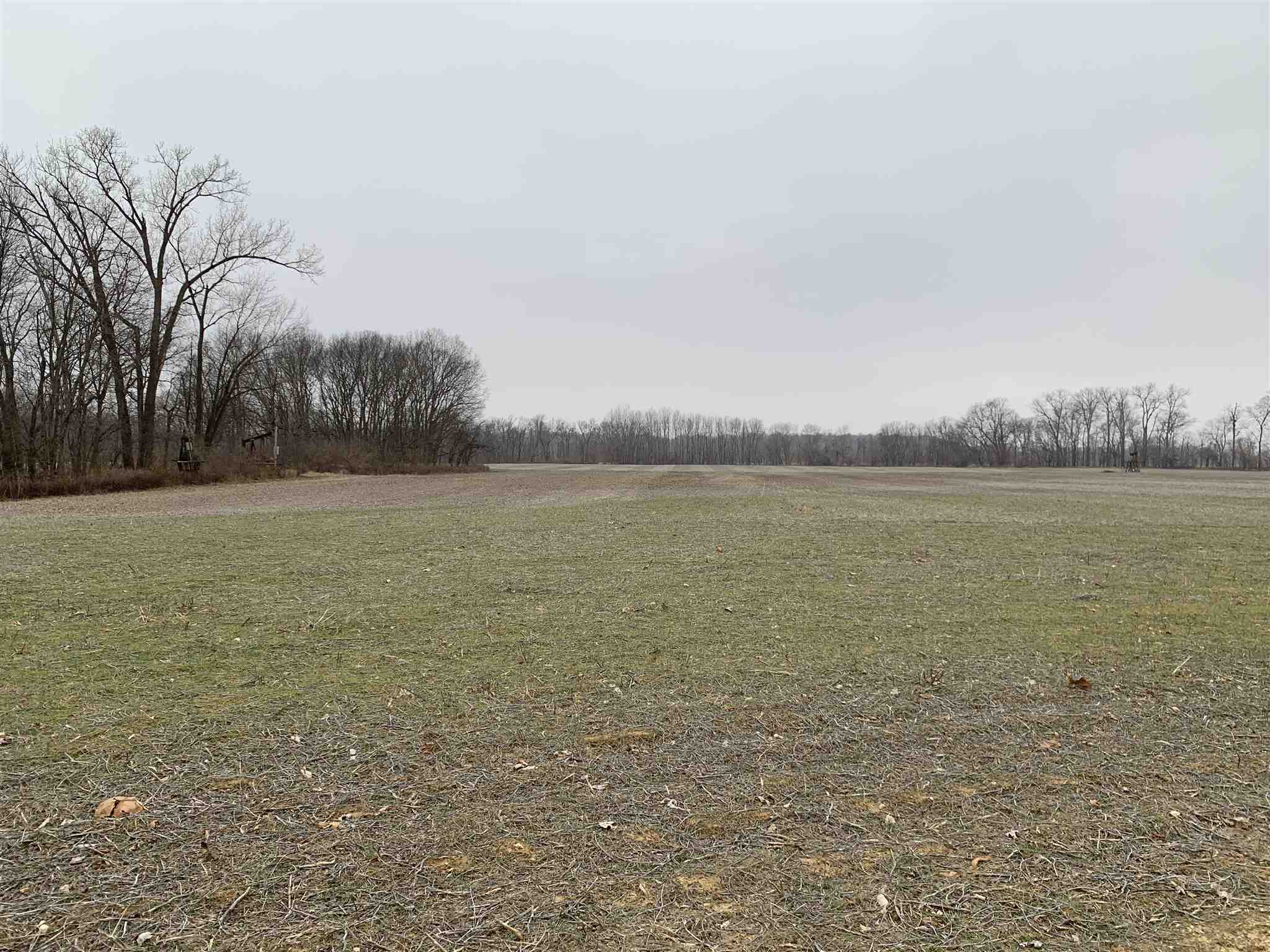 Off East Giro Road Hazleton, IN 47640 - Photo 3 of 16 Gallery Image 3