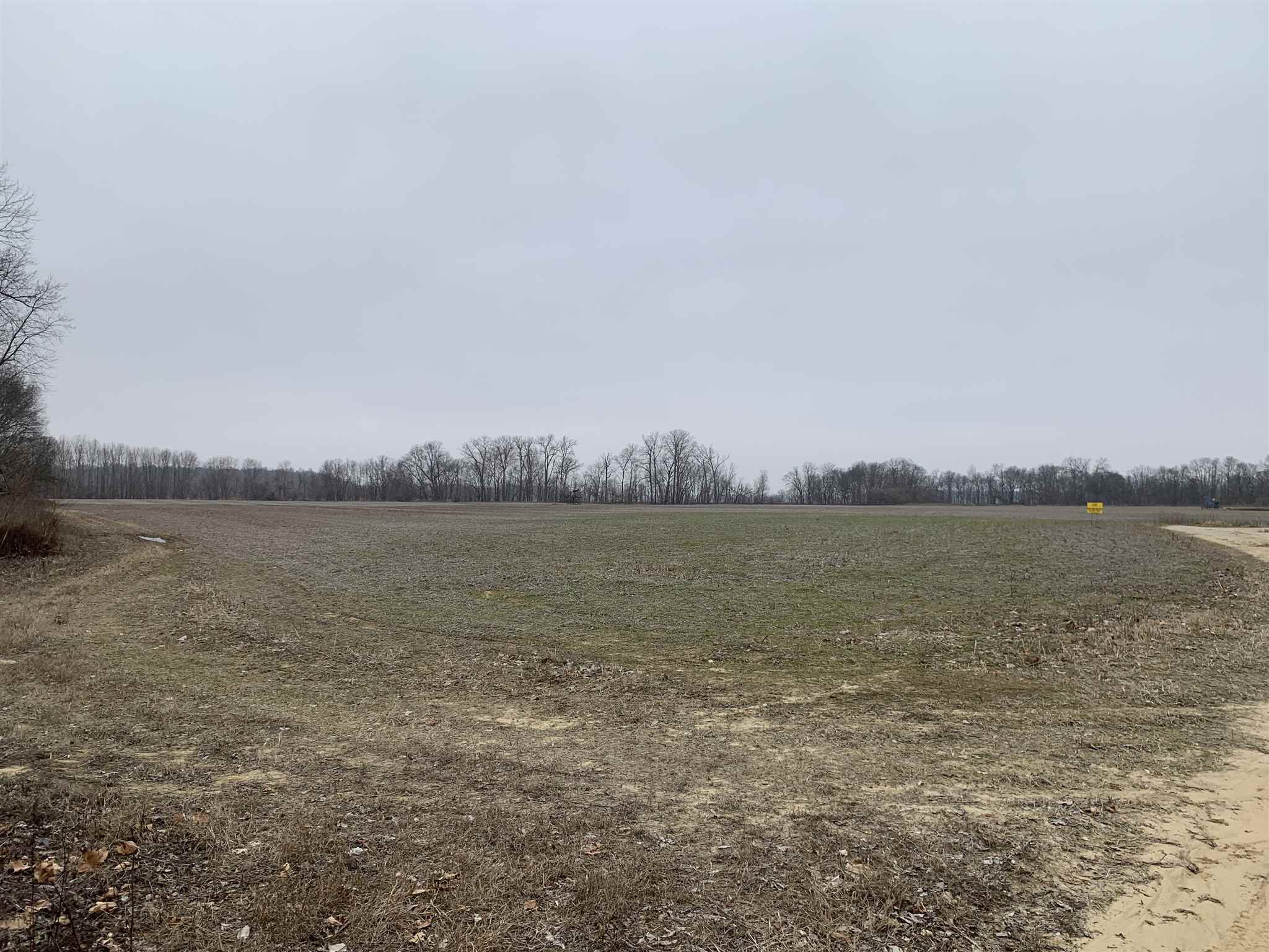 Off East Giro Road Hazleton, IN 47640 - Photo 4 of 16 Gallery Image 4
