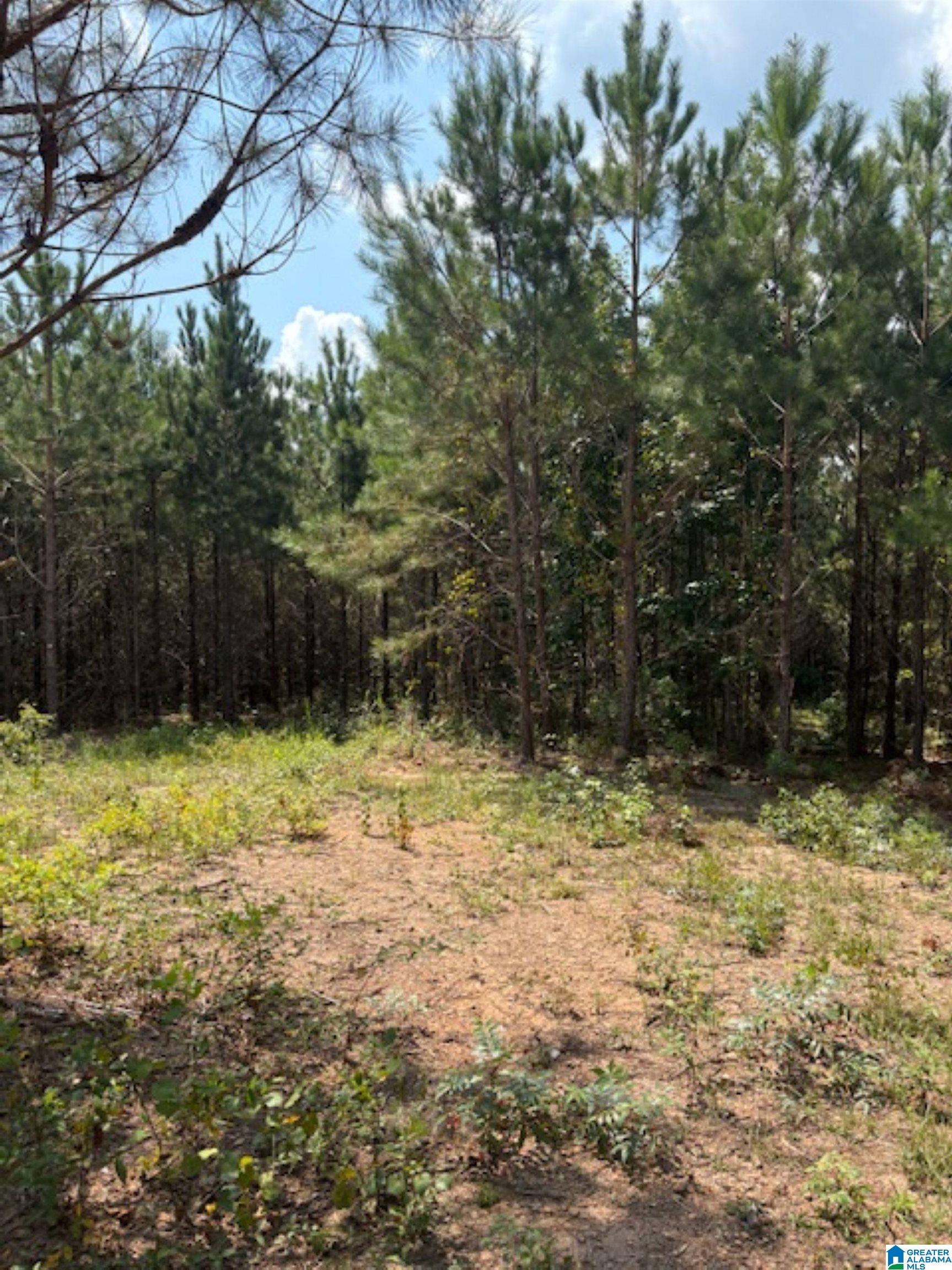 472 County Road, Unit 2 Clanton, AL 35045 - Photo 6 of 10