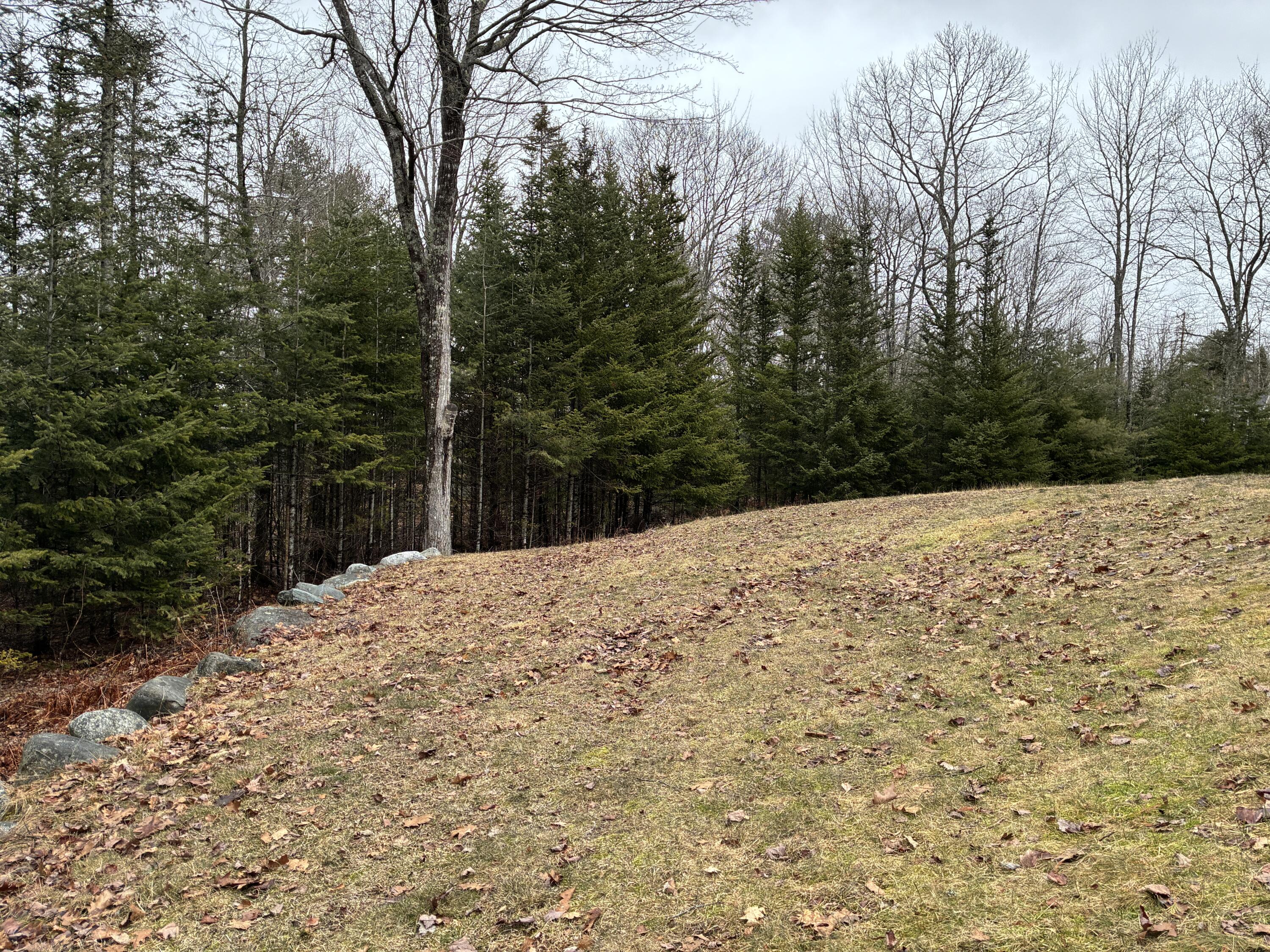 53 Sugar Way Ellsworth, ME 04605 - Photo 37 of 47 Back yard.