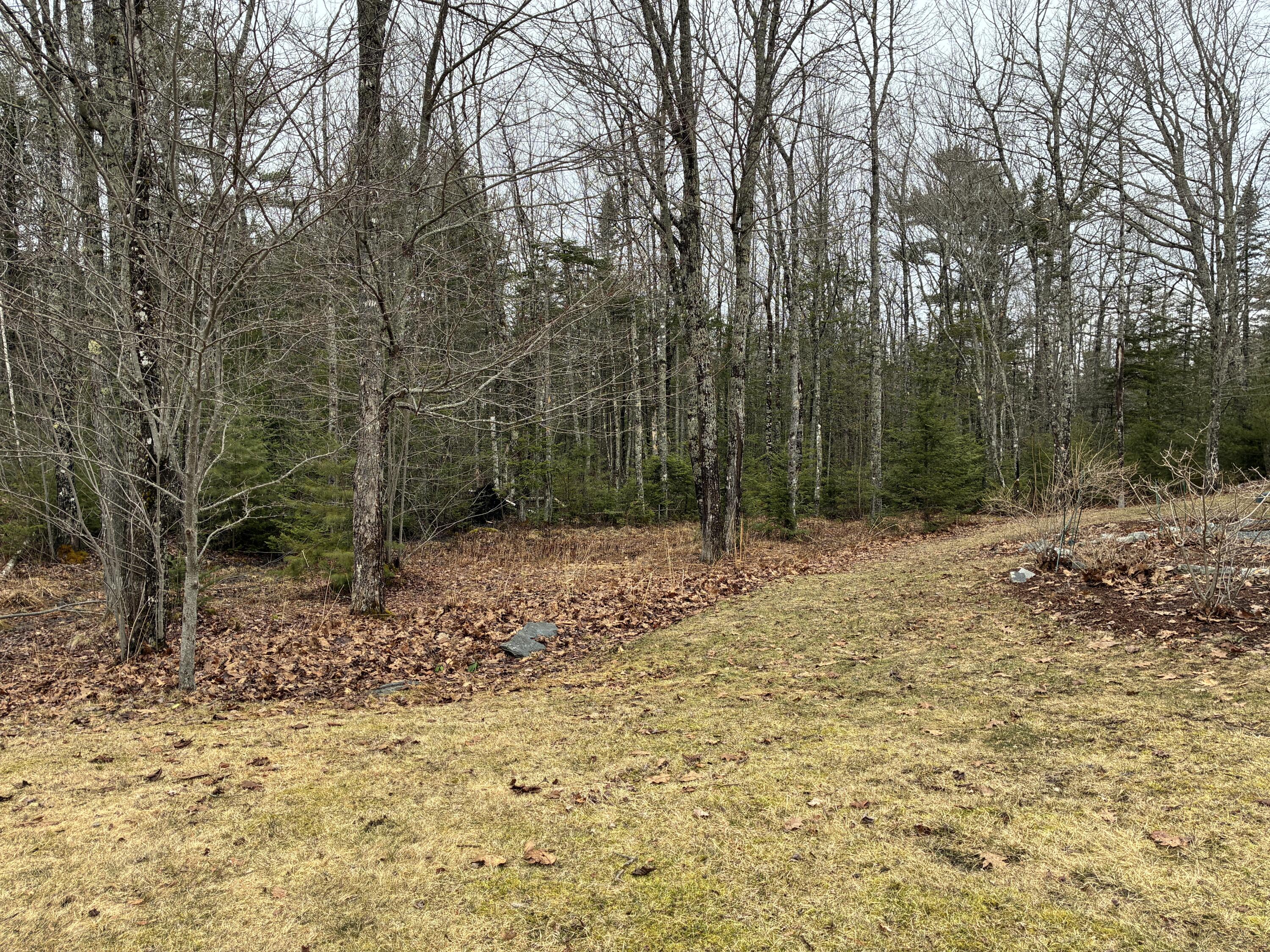 53 Sugar Way Ellsworth, ME 04605 - Photo 46 of 47 West yard.