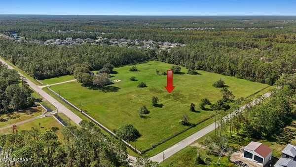 a view of a back yard