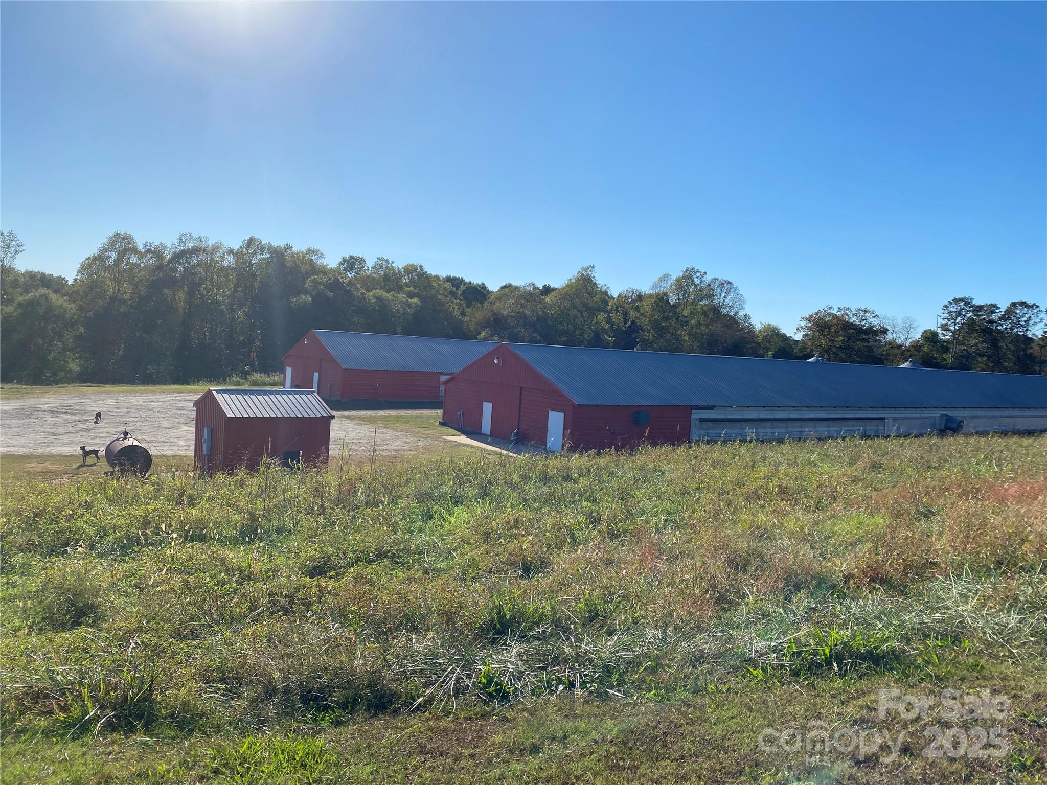 382 Poole Road Ellenboro, NC 28040 - Photo 1 of 13 a view of outdoor space and yard