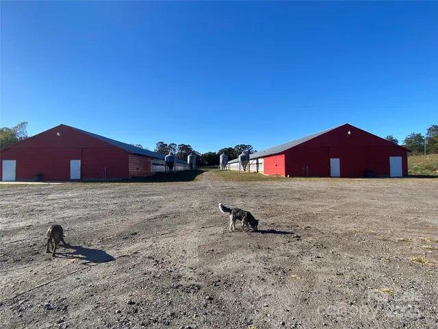 a view of swimming pool of a house