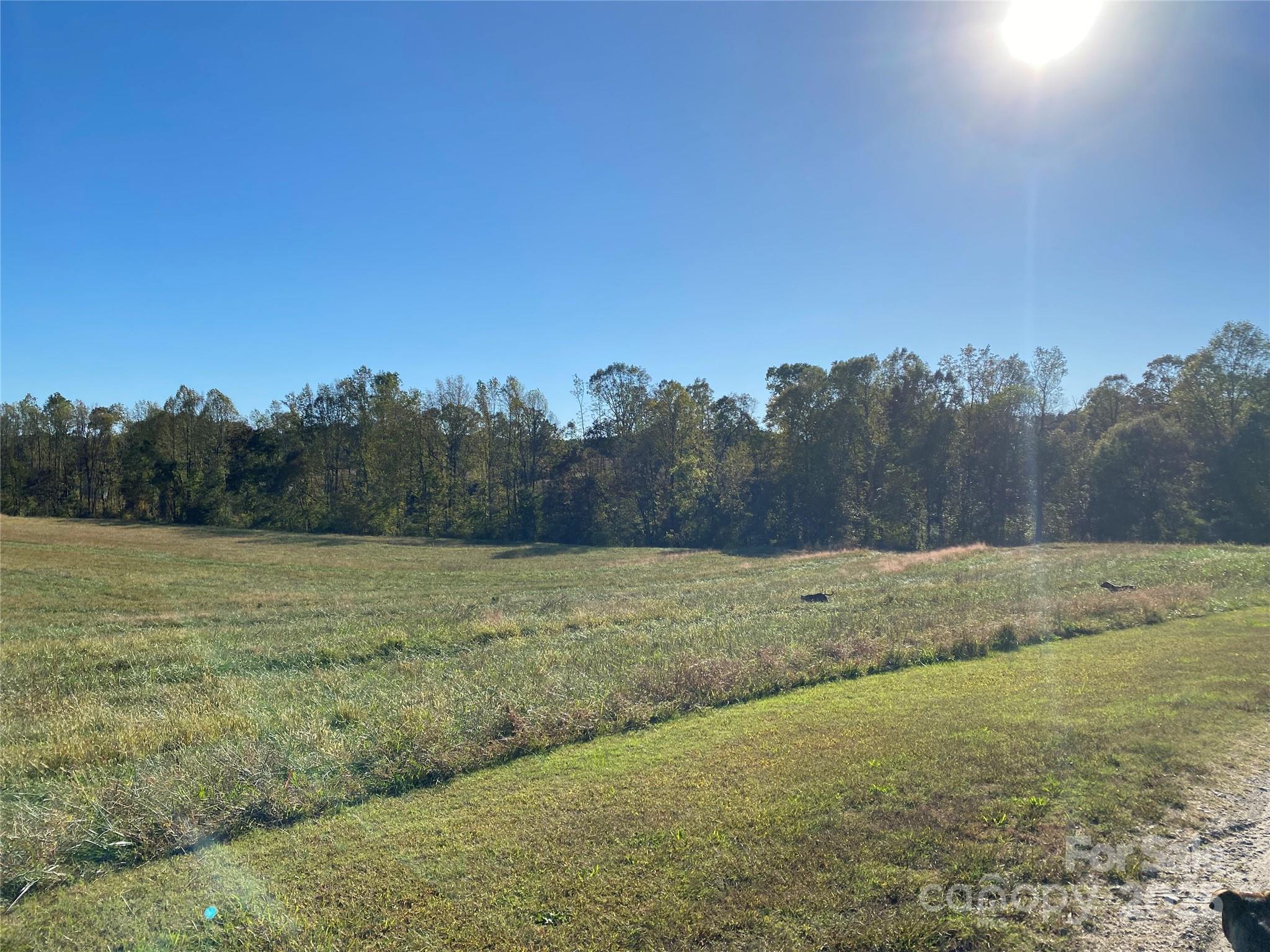 382 Poole Road Ellenboro, NC 28040 - Photo 6 of 13 a view of a field with trees in background