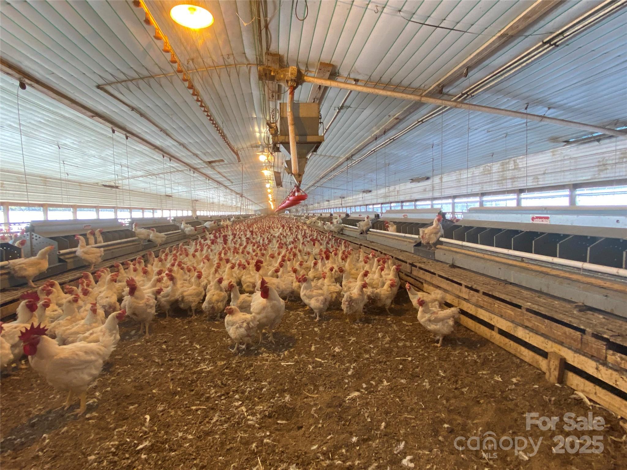382 Poole Road Ellenboro, NC 28040 - Photo 9 of 13 a view of an empty room