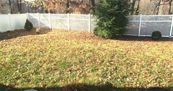 24 Spear Road Springfield, MA 01119 - Photo 12 of 12 a view of a backyard of the house